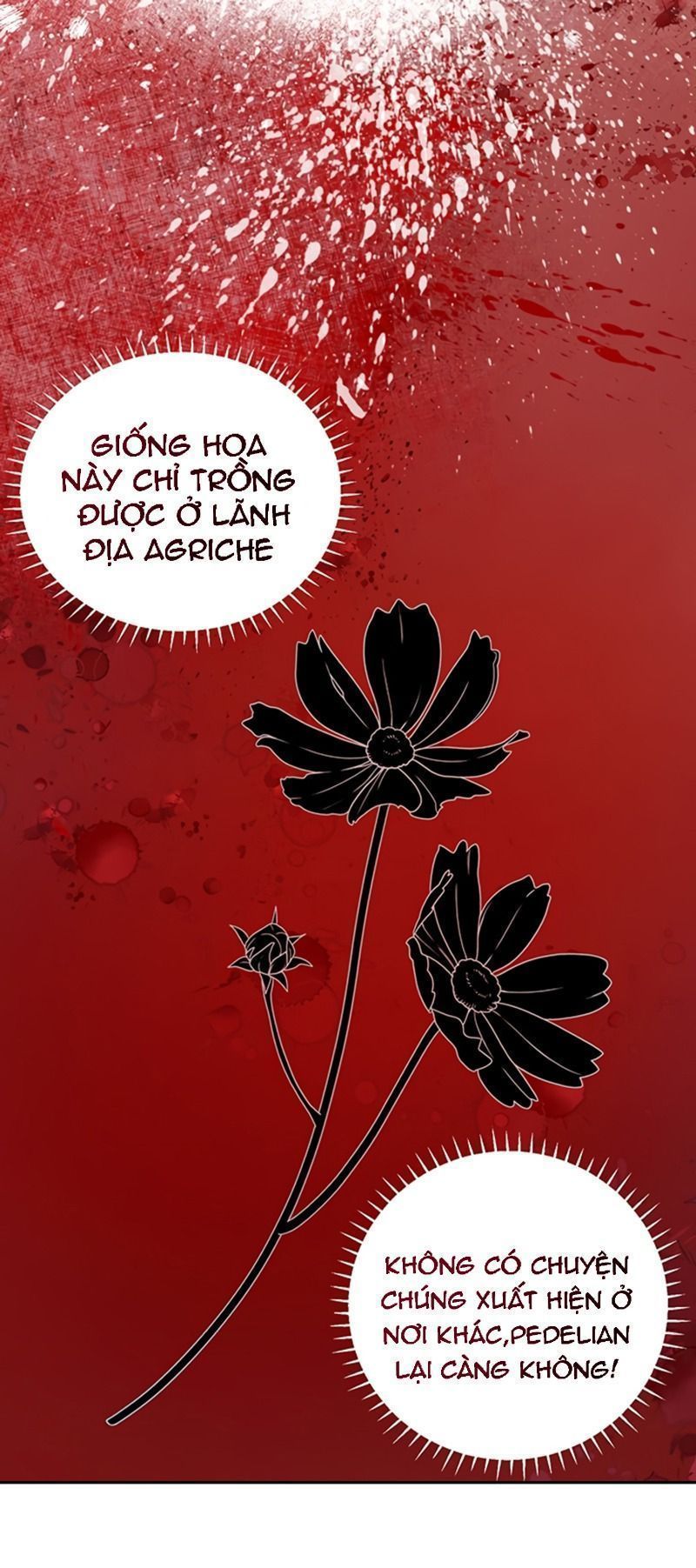 cách để cứu rỗi anh trai của nữ chính chapter 20 10