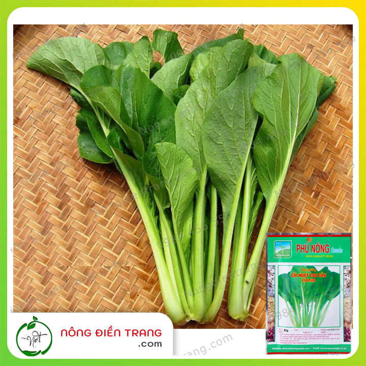 Hạt Giống Cải Ngọt Cao Sản Phú Nông - Gói 50g - Cải Ngọt Italia Dễ Trồng, Tỉ Lệ Nảy Mầm Cao, Sinh Trưởng Nhanh, Kháng Sâu Bệnh Tốt VTNN Nông Điền Trang