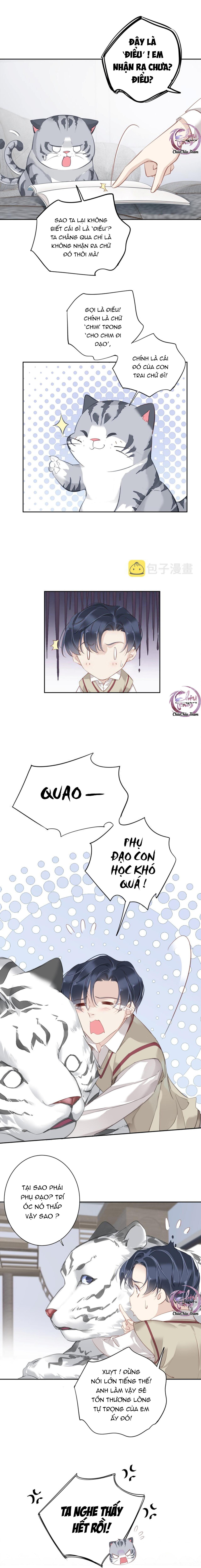 cuộc mai mối vượt giống loài chapter 48 5