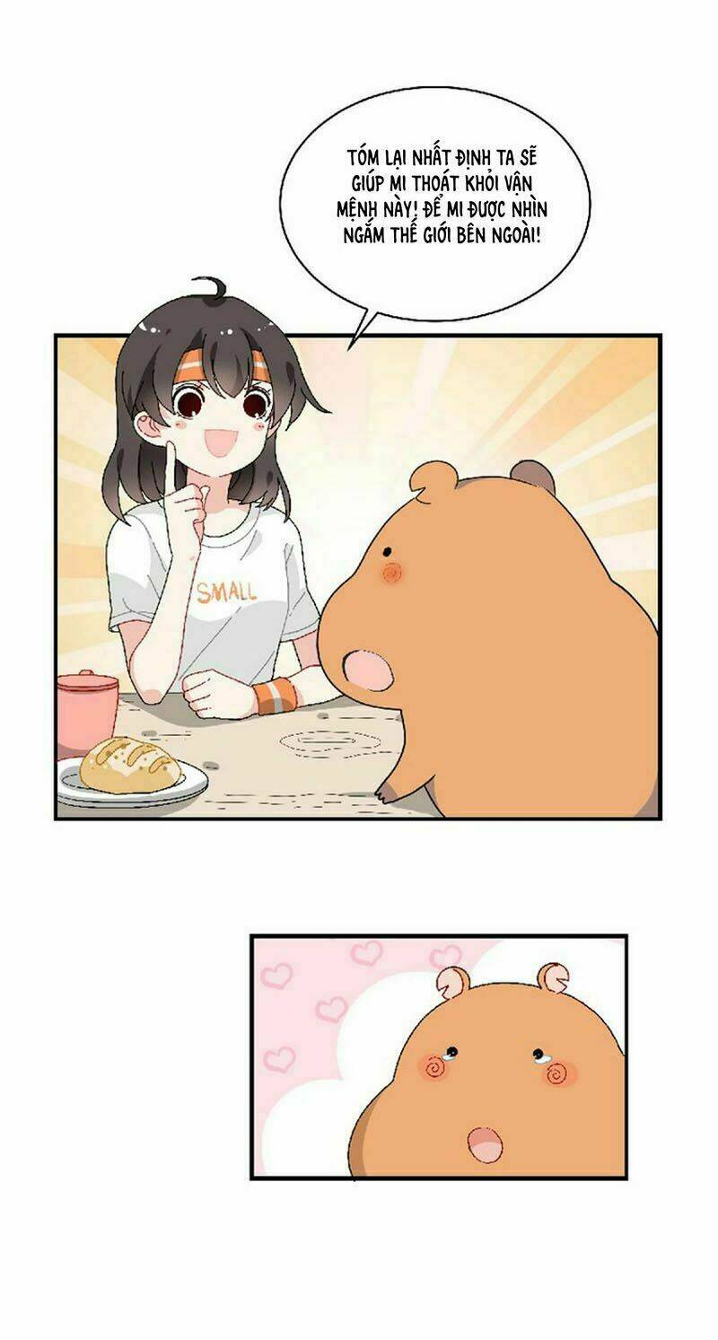 thú giữ nhà của đường tây tử chapter 2 25