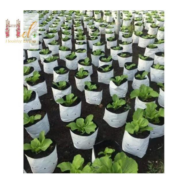Túi Ươm Cây 2 Da, Túi Nilon Trồng Dưa Lưới, Dưa Leo, Dưa Lê, Cà Chua, Cà Rốt 20x40cm - 16 cái - 0.5Kg