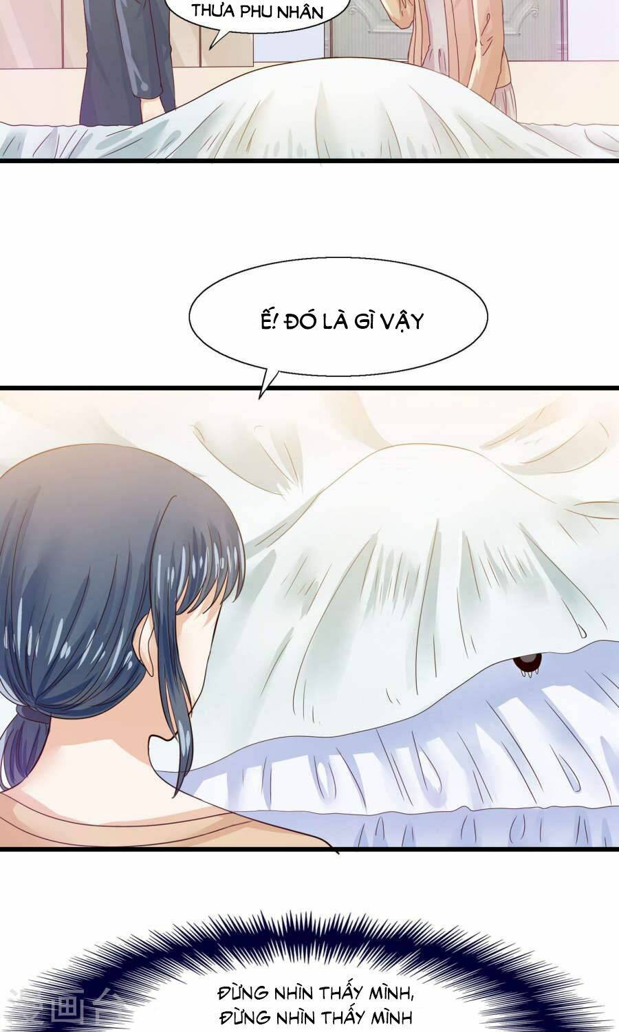 tôi bị gấu trúc nhìn trúng rồi chapter 11 10