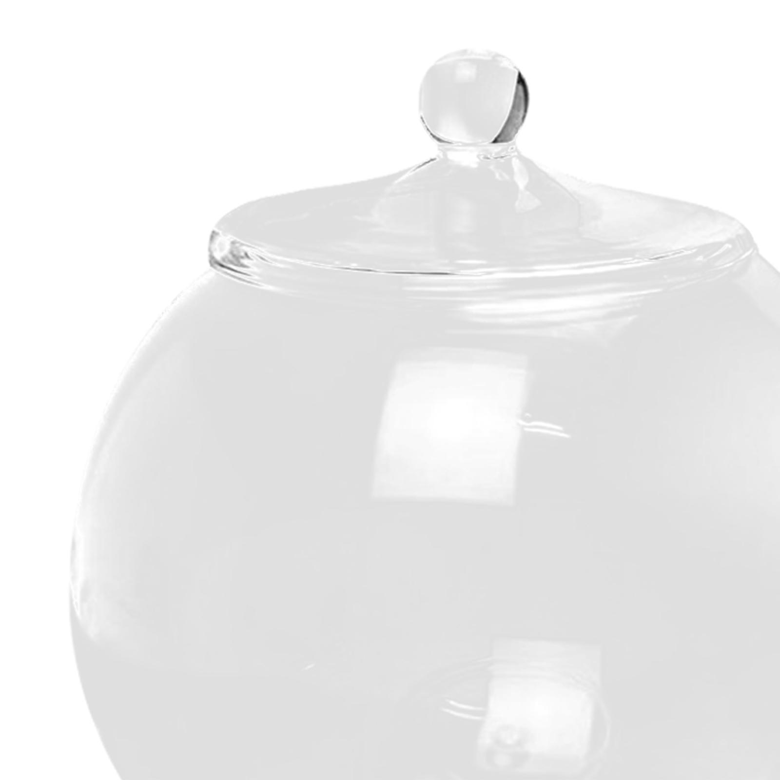 Glass Terrarium, Glass Plant Container, Sealed Storage Jar, Centerpiece Planter Jar Micro Landscape Bottle for Candy Coffee kitchen Nuts