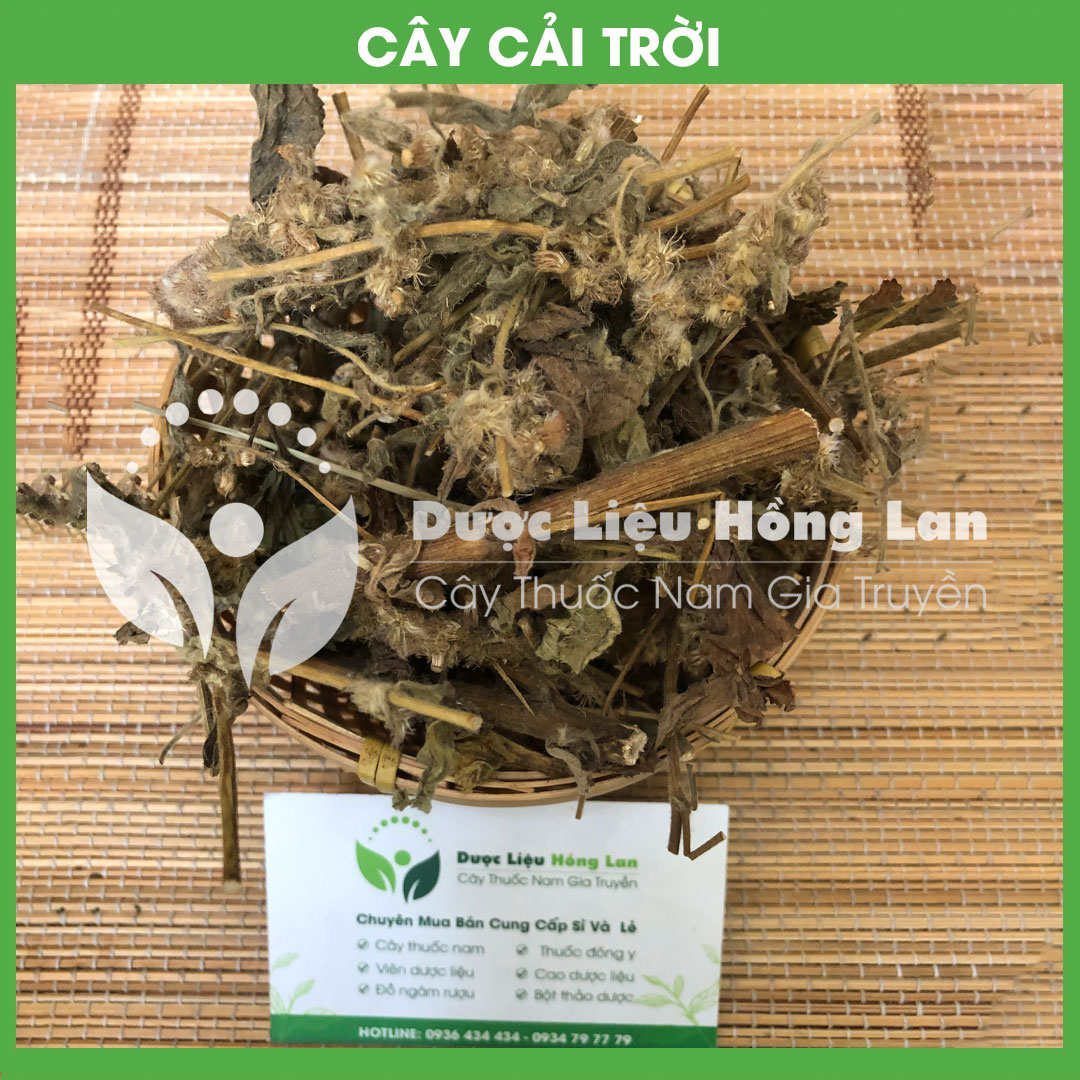 Cây Rau Cải Trời khô 1kg (Hàng Công Ty)