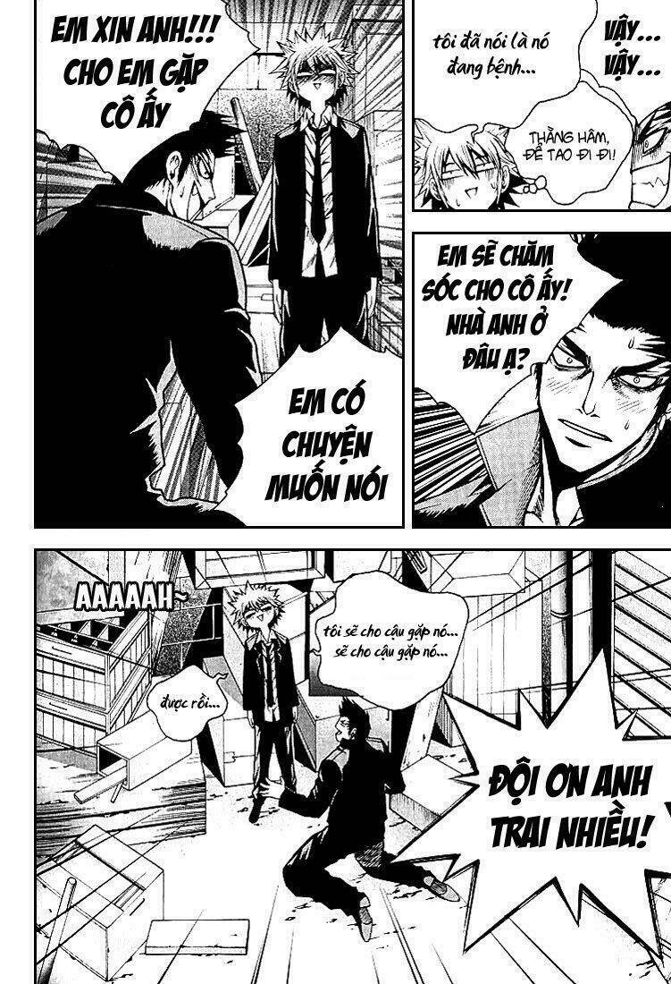 zippy ziggy chapter 11 5