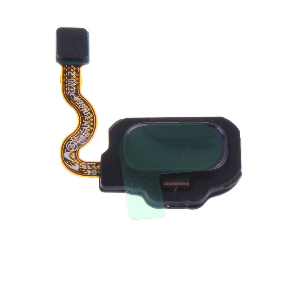 For Samsung Galaxy S8/S8+ Touch ID Sensor Home Button + Flex Cable Replacement  Purple+Gold