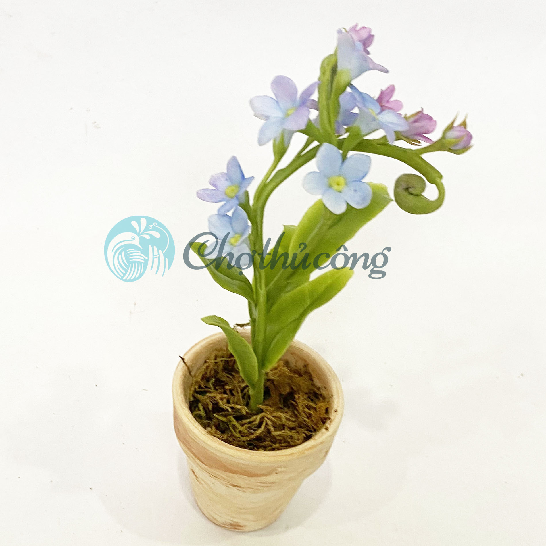 Chậu hoa lưu ly forget me not đất sét mini Nhật Thái, chậu cây mini hoa handmade - chậu hoa giả để bàn, quà tặng handmade