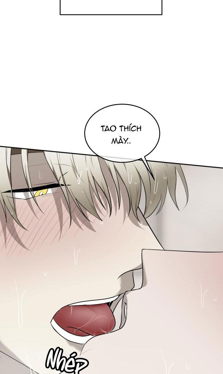 dưỡng thú cưng chapter 33 37