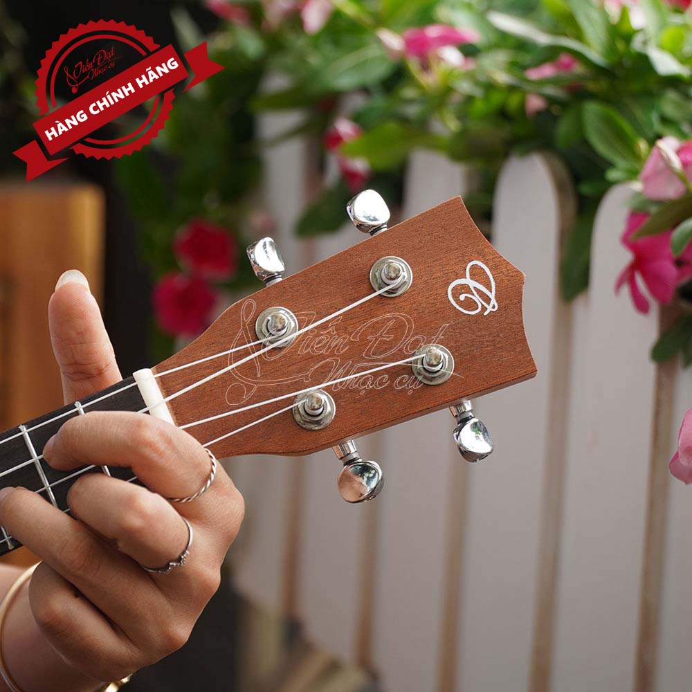 Đàn Ukulele Concert Chard WD-24THX, Màu nâu nổi bật, Mặt đàn Gỗ gụ - Hàng chính hãng