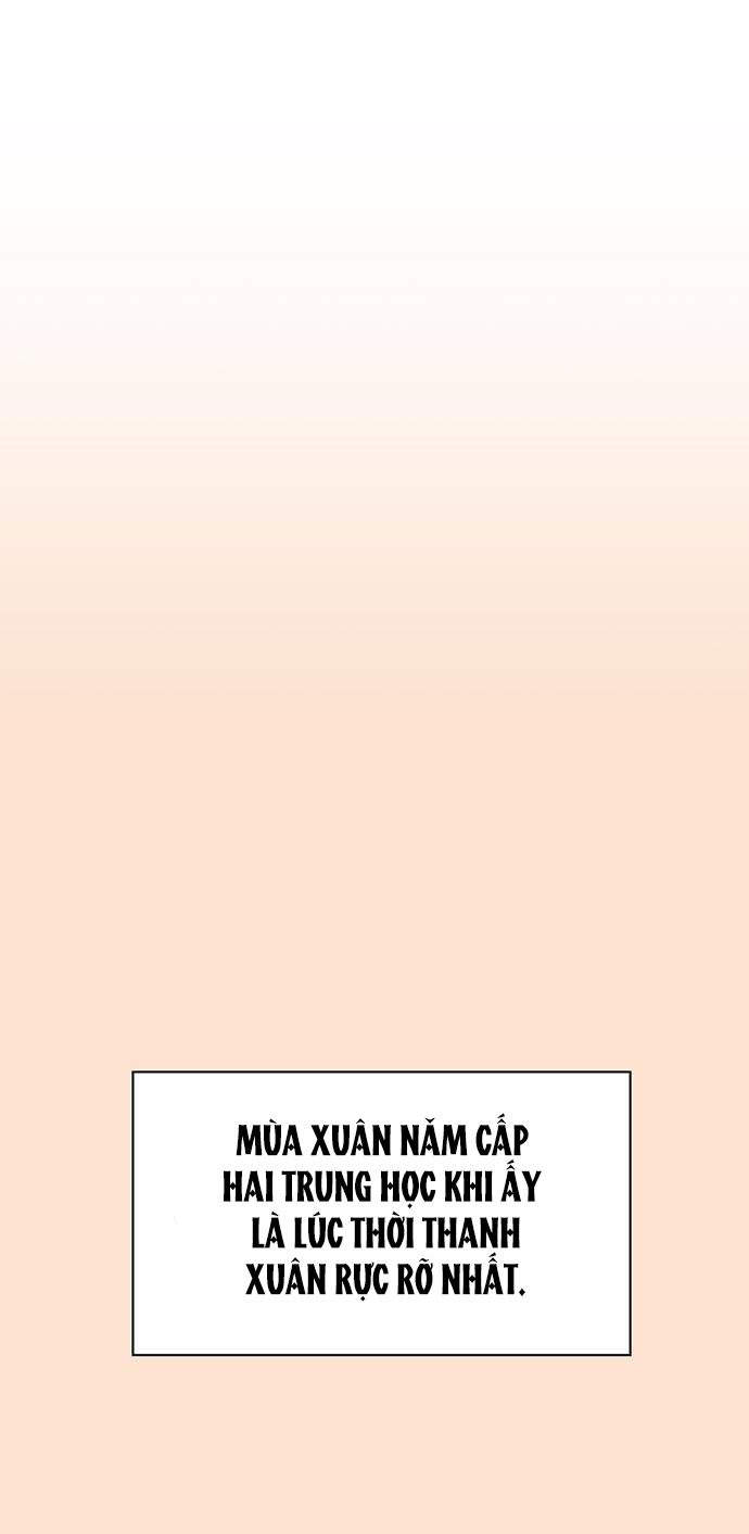 thanh xuân rực rỡ - season of blossom chapter 77 2