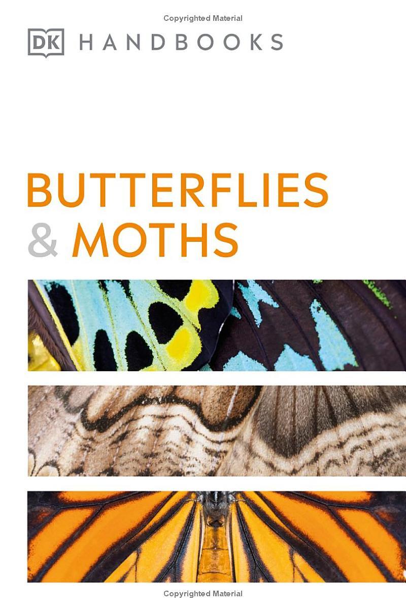 Sách ngoại văn: Butterflies And Moths