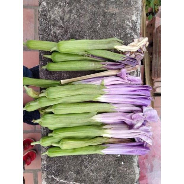Lá Cà Độc Dược Khô 100G