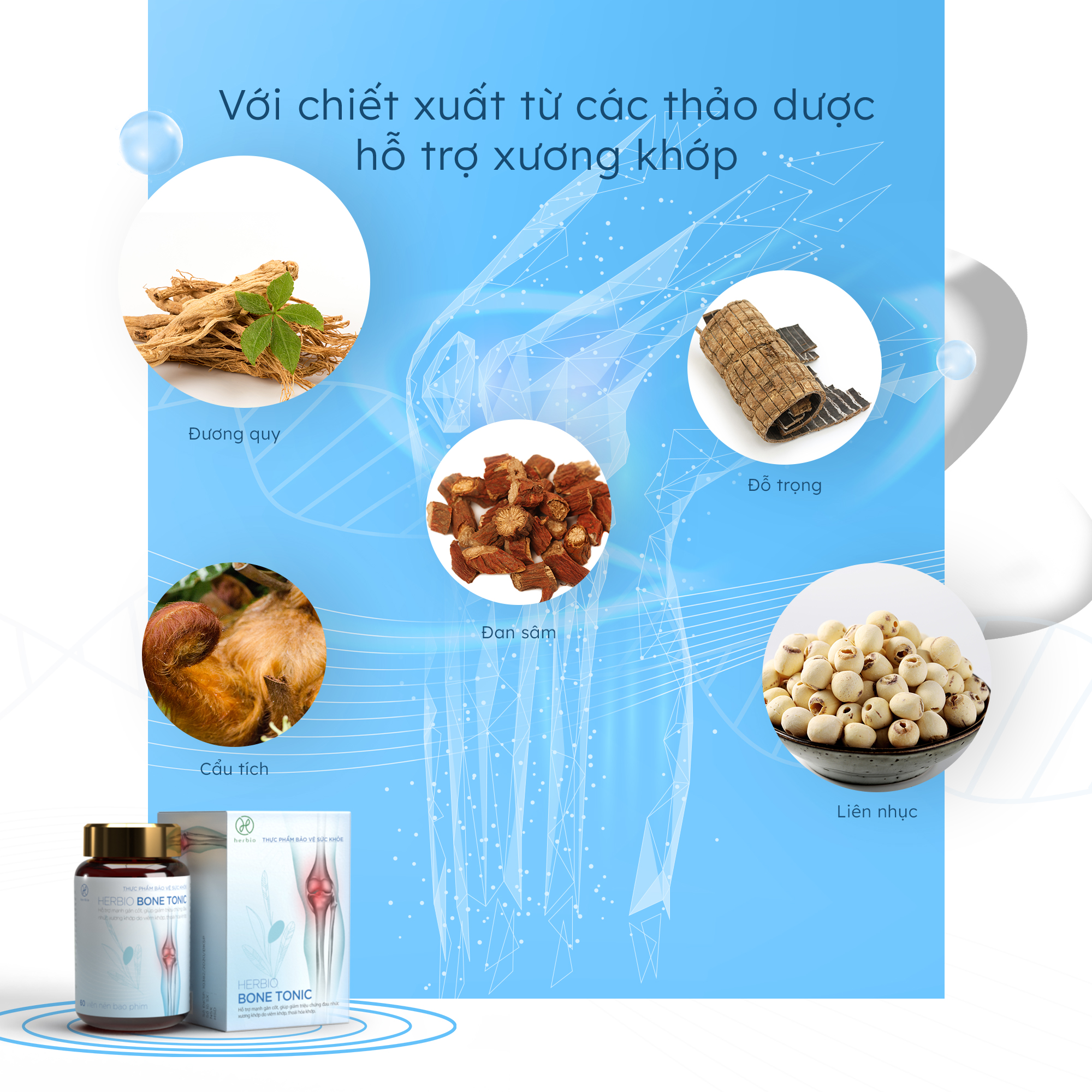 Viên Uống Bổ Xương Khớp Herbio Bone Tonic - 100% thảo dược tự nhiên theo công thức y học cổ truyền, hỗ trợ mạnh gân cốt, giảm các triệu chứng đau khớp, tăng cường sự dẻo dai, linh hoạt (Hộp 1 chai x 60 viên)