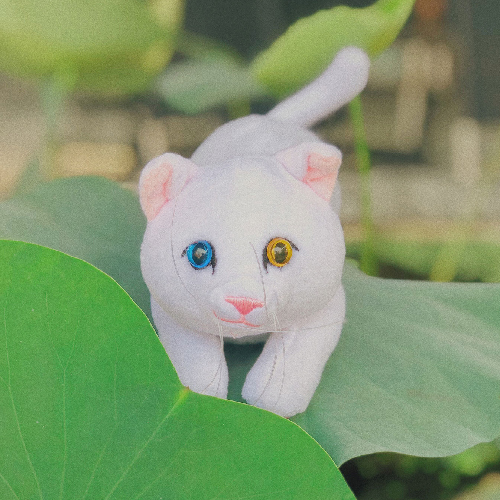 Gối Mèo bông kê cổ tay khi dùng máy tính, Mèo Turkish Angora - Trắng, quà tặng giáng sinh, vải thun cao cấp mềm mịn, mèo bông trang trí bàn làm việc, phụ kiện đeo cặp, balo, đồ chơi trẻ em, quà tặng bạn gái, quà tặng người yêu mèo, đồ chơi cho chó mèo