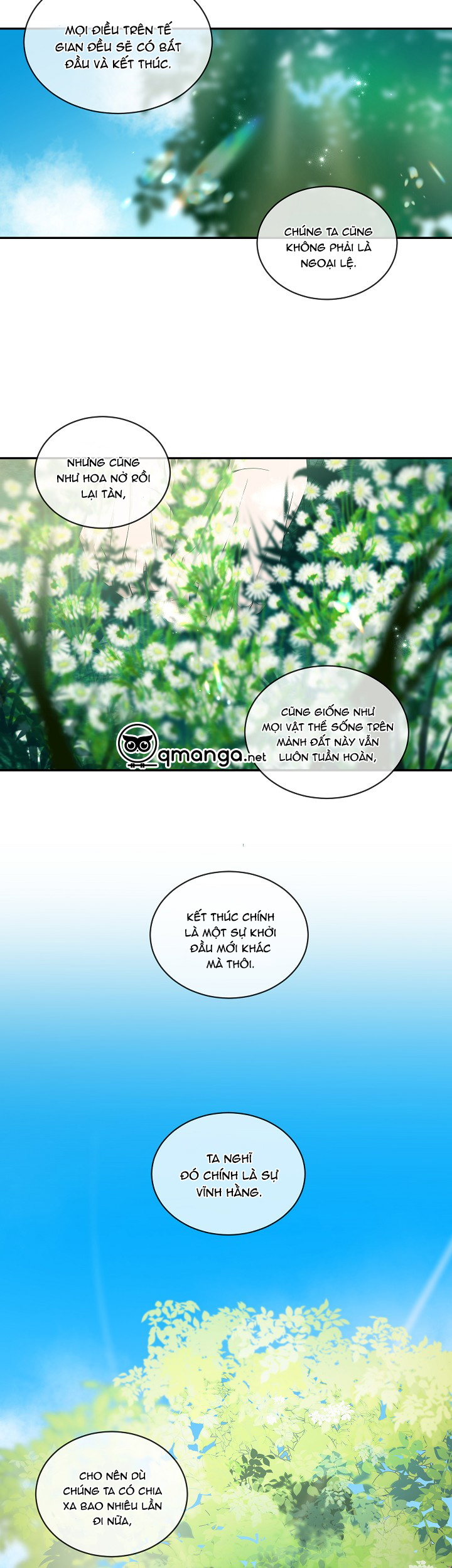 ever green chapter 41 28