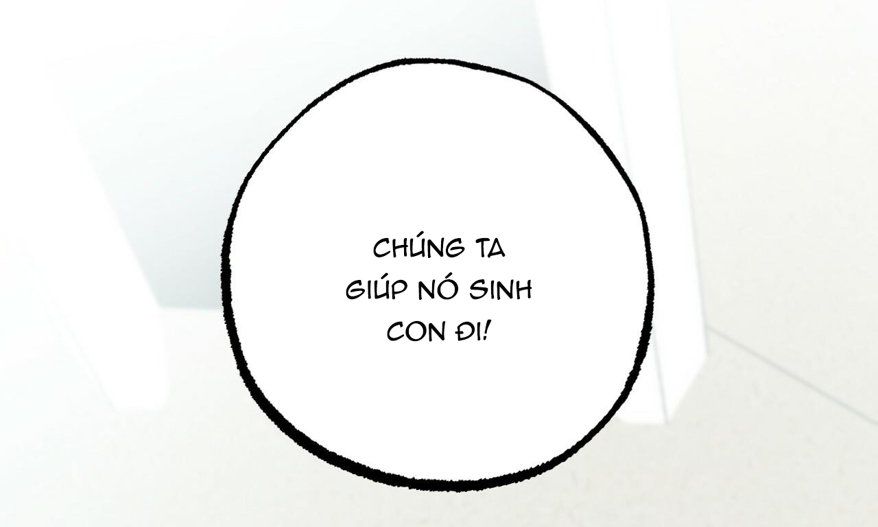 đàn thỏ của habibi chapter 31 2