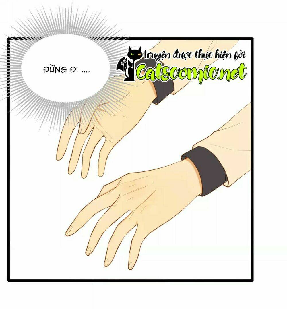 điều giáo quan hệ chapter 23 3