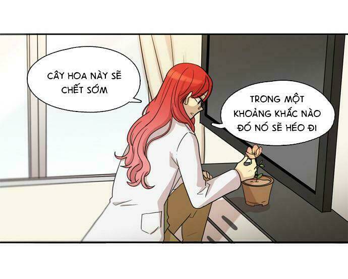 the devil who can't fly chapter 37 44