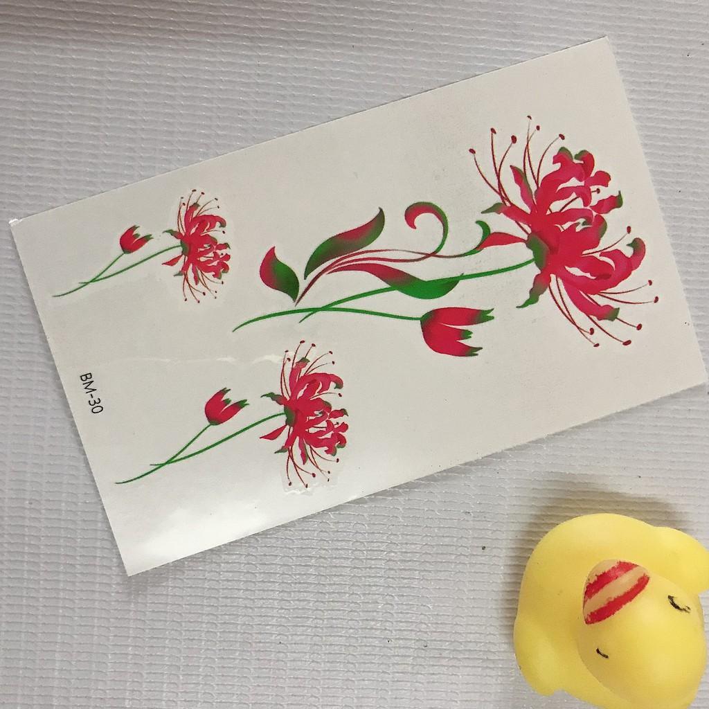 Hình xăm dán hoa bỉ ngạn màu 10x6cm+ quà tặng kèm
