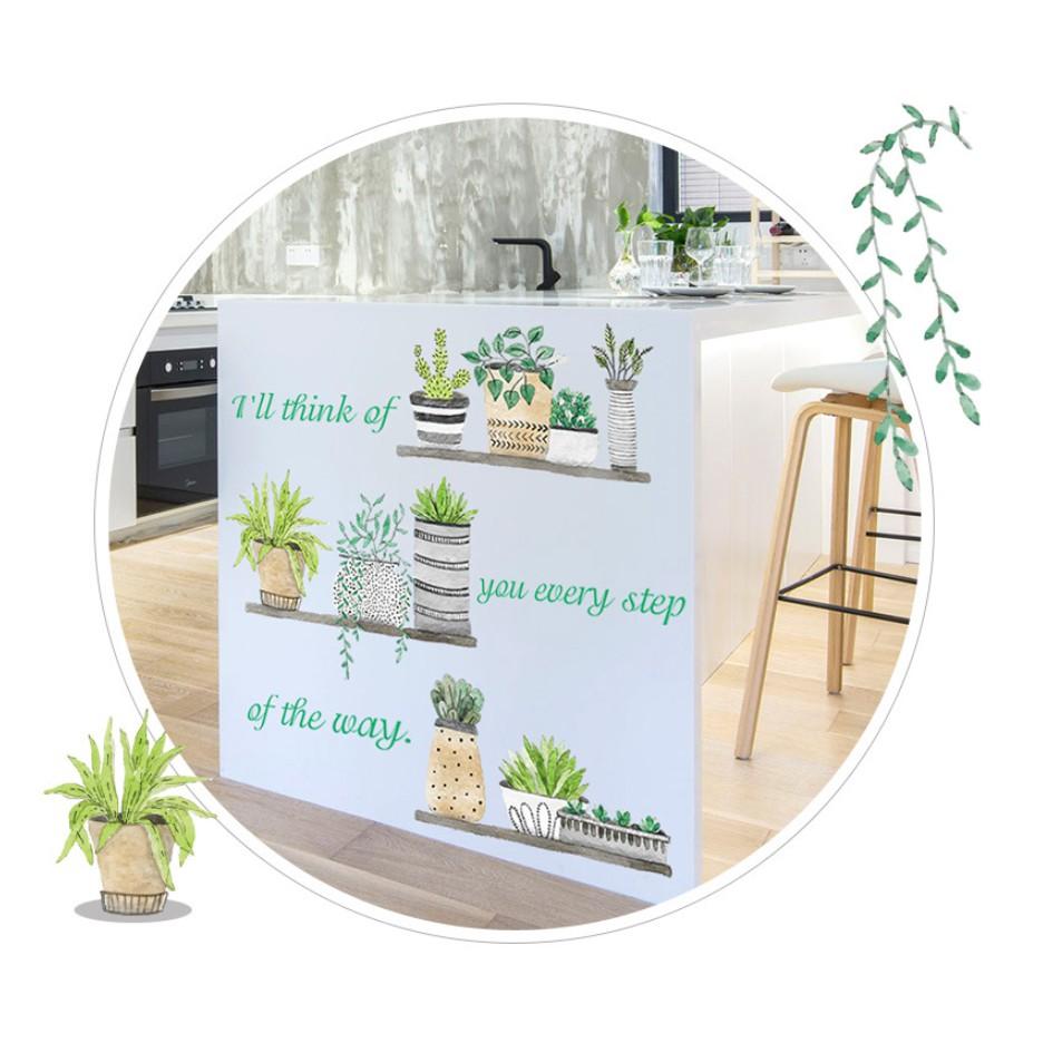 Decal dán trang trí tường - Nhiều Chậu lớn 04