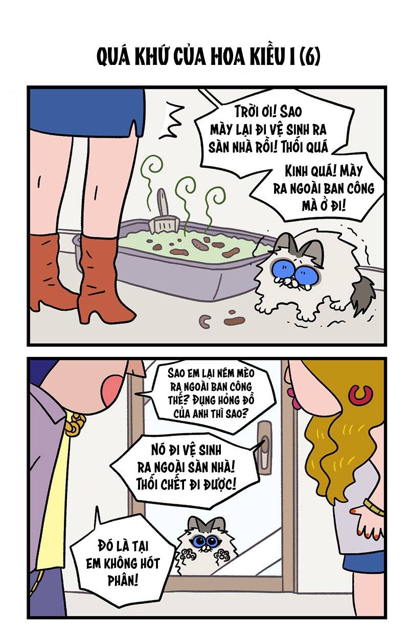 a mãn và mạch trà chapter 47.1 5