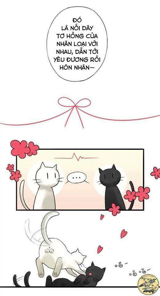 ái thần thượng môn chapter 2 8