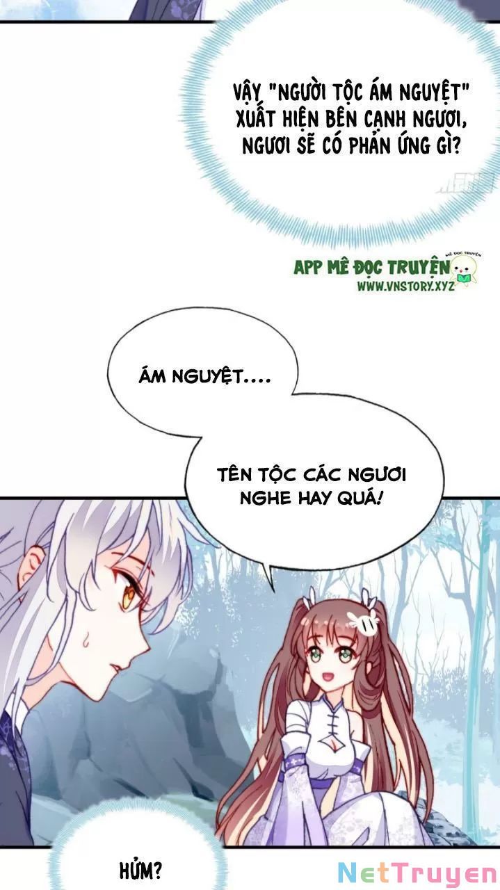 lại bị bệnh chiều chuộng quấn lấy chapter 20 6