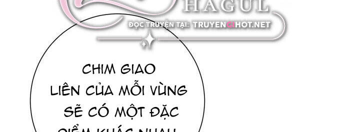 công chúa của loài chim chapter 49 19