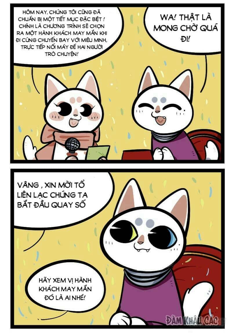 đời không như mình tưởng chapter 44 4