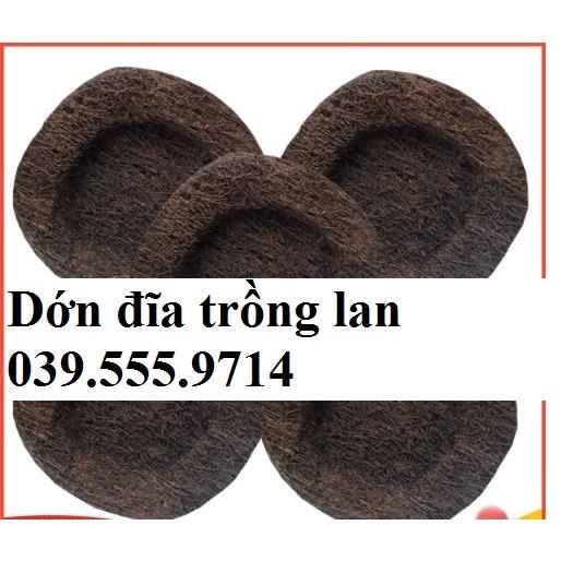5 DỚN TRỒNG LAN - giữ ẩm cho lan