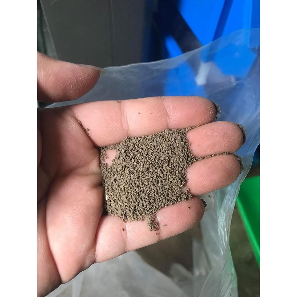 1000g 1KG cám tomboy TB0, TB1, TB3, TB G1 hạt chìm cho 7 màu cá mún,bình tích, ali, ranchu, goldfish thay cám inve thái