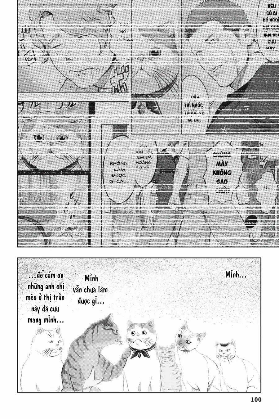 nyankees chapter 14 25