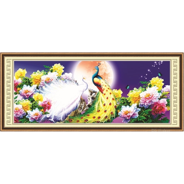 Tranh thêu chữ thập Khổng Tước Ngắm Trăng chưa thêu