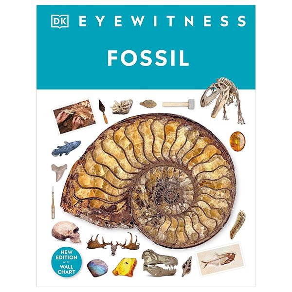 Sách ngoại văn: Eyewitness - Fossil