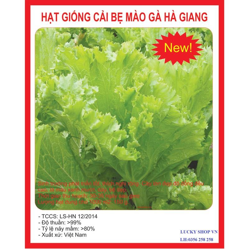COMBO 5 gói hạt giống cải bẹ mào gà Xanh
