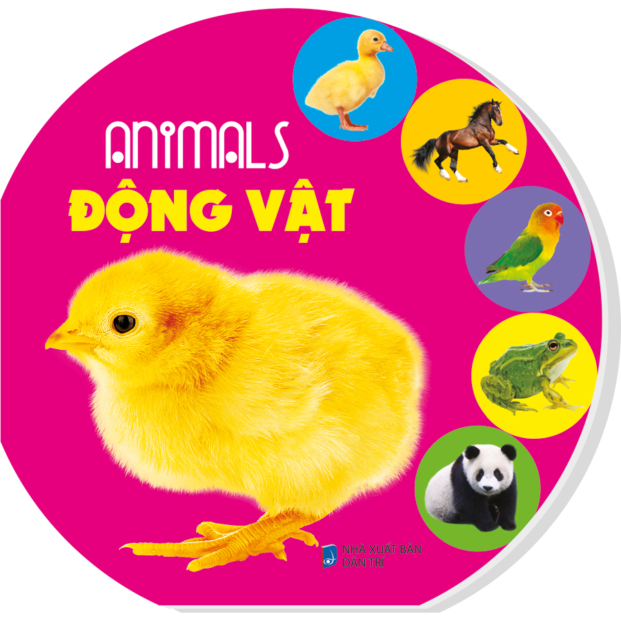 Animals - Động Vật