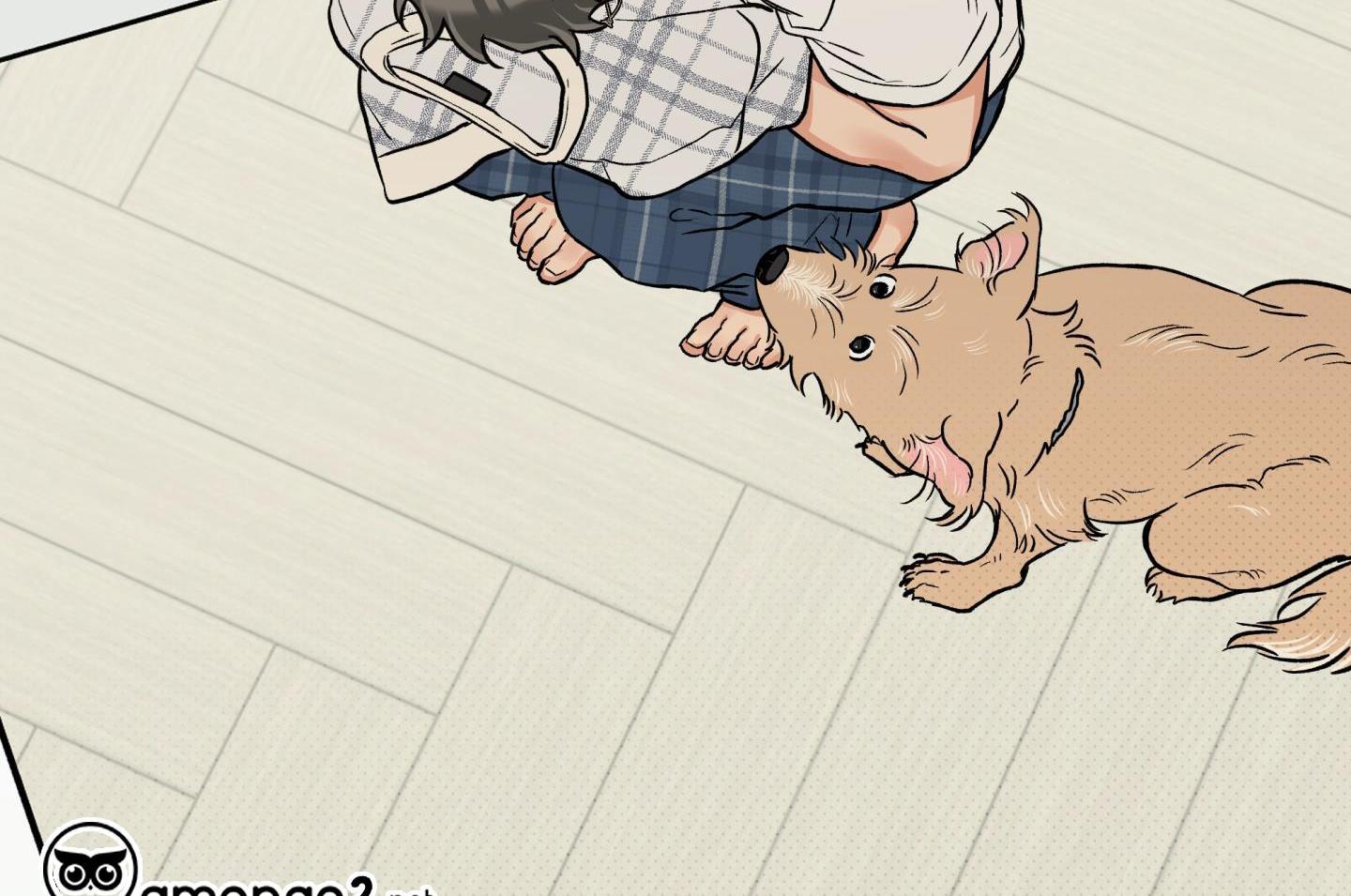 gâu gâu! chapter 49 119