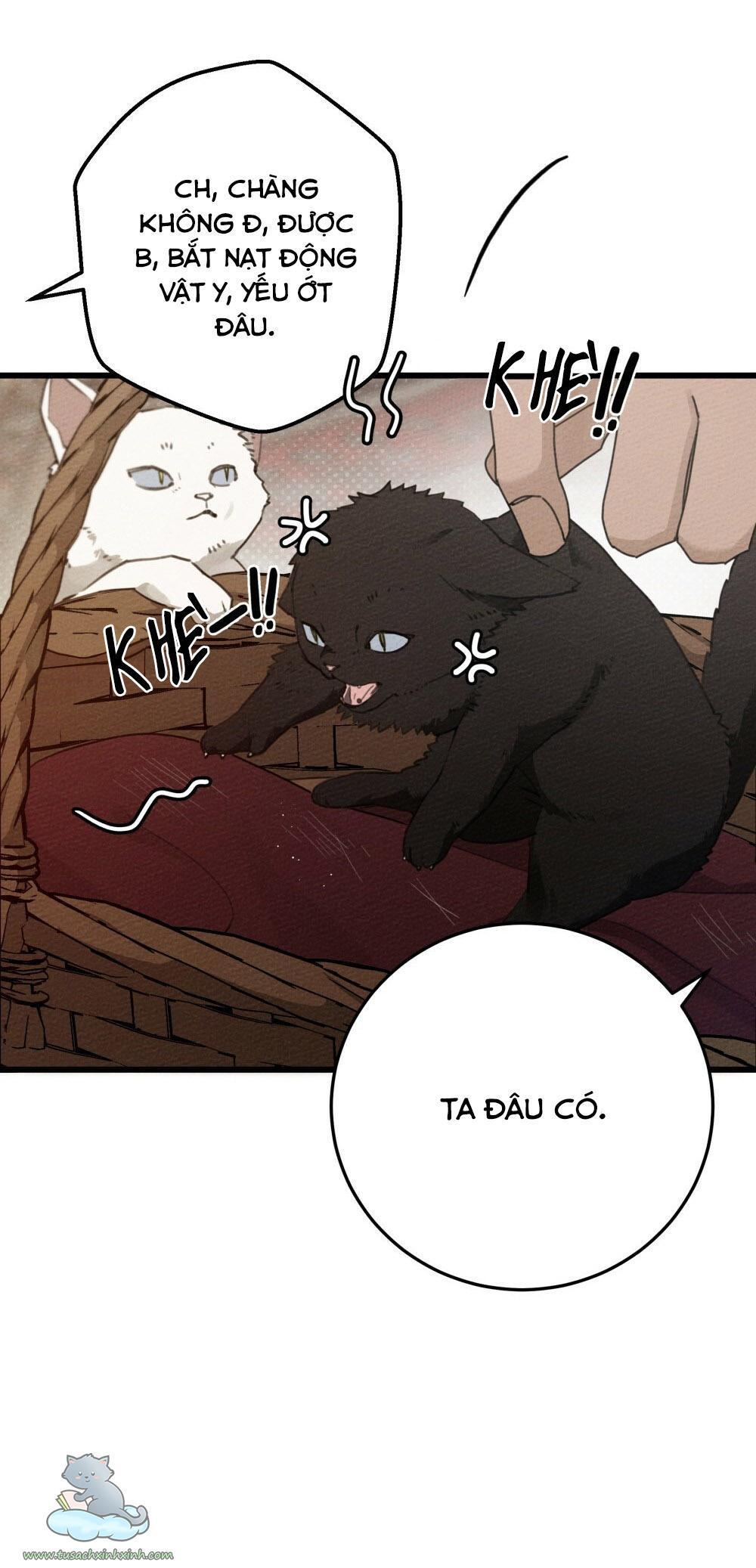 dưới tán cây sồi chapter 46 53