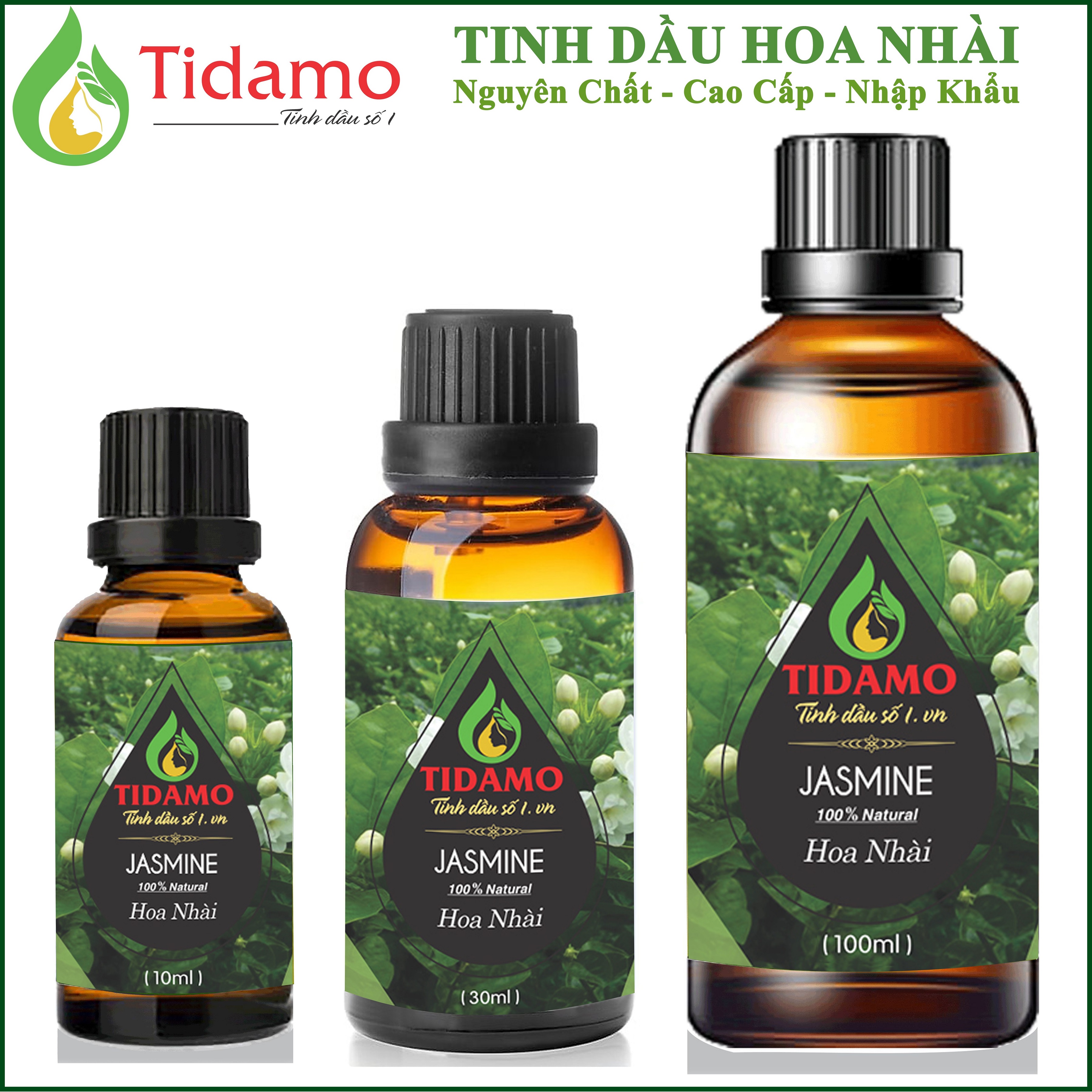 Tinh Dầu Hoa Nhài TIDAMO 10ML Nhập Khẩu, Có Kiểm Nghiệm, Hương Thơm Dịu Nhẹ Quý Phái - Tinh Dầu Hoa Lài (Jasmine) Xông Thơm Phòng, Thư Giãn và Tốt Cho Sức Khỏe