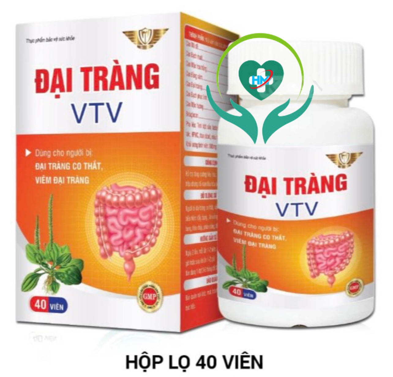 Viên uống Đại tràng VTV Vinh Thịnh Vượng VV, hộp 40v, dùng cho người bị viêm đại tràng cấp, mãn tính