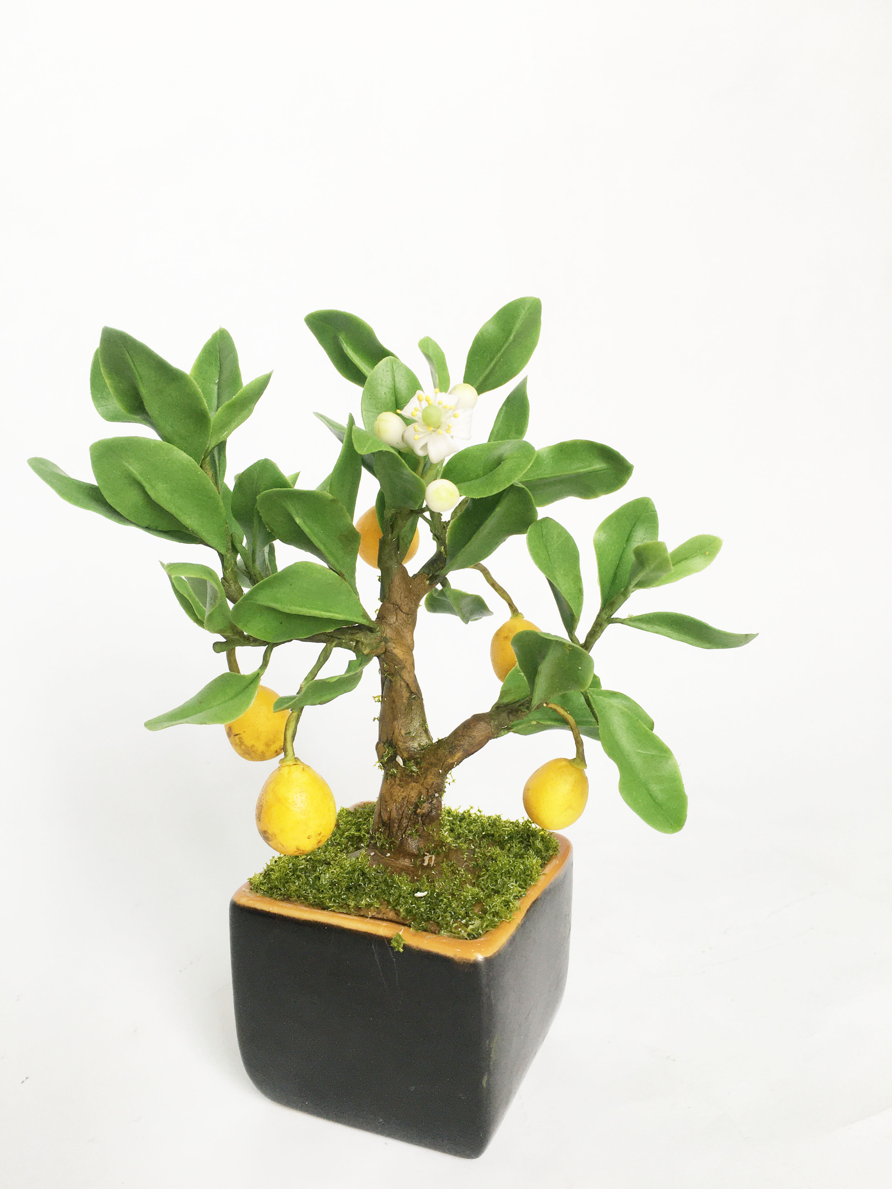Chậu hoa đất sét mini- Bonsai bưởi - Quà tặng trang trí handmade