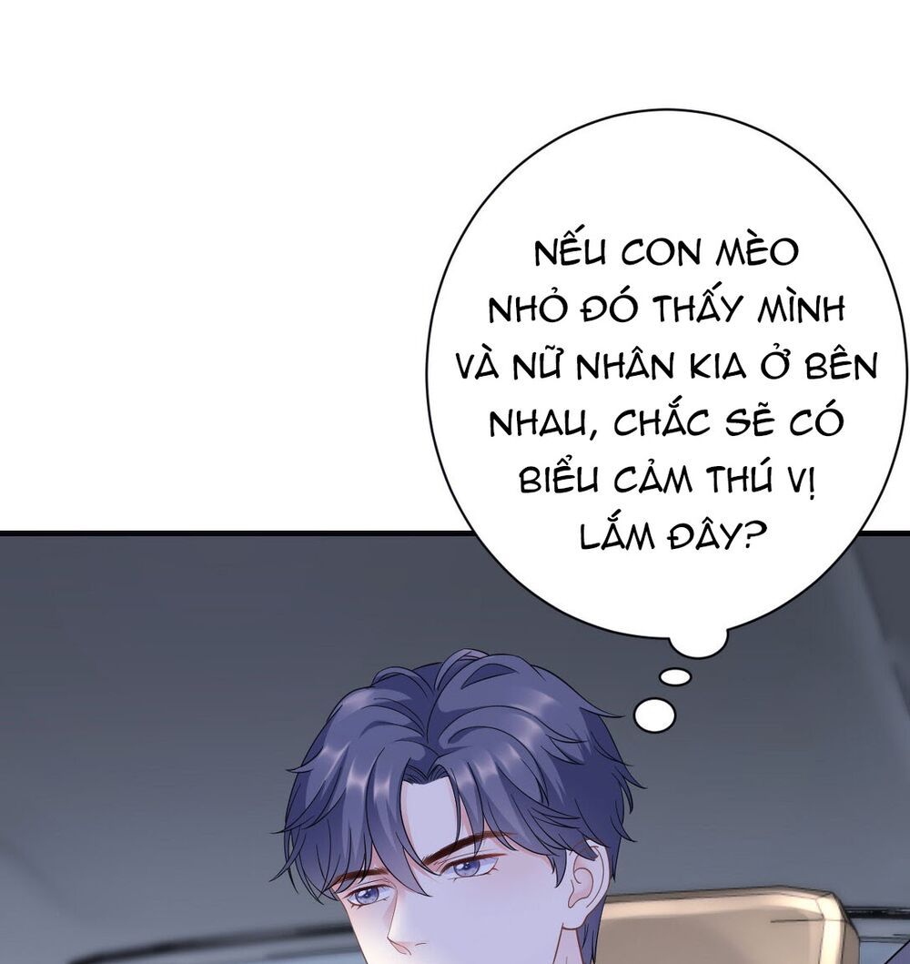 đại tiểu thư có ý đồ gì xấu đâu chapter 16 27