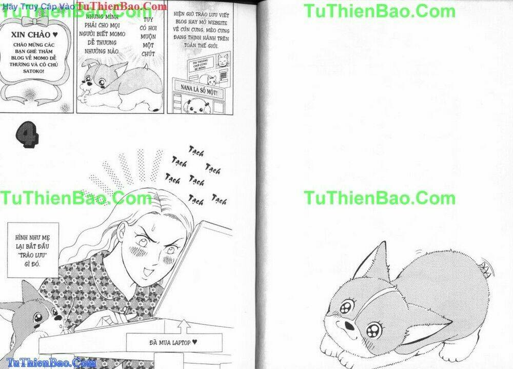 chó con mo mo chapter 6 13