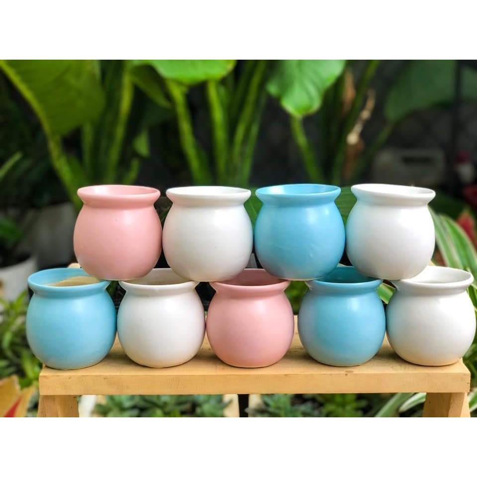 Chậu trồng cây bằng sứ trơn, nhiều màu trồng sen đá, tiểu cảnh, cẩm nhung trang trí