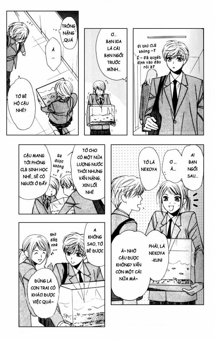neko neko honey chapter 2 10
