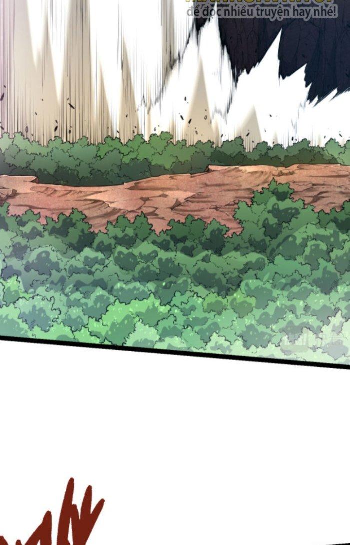 từ cây cổ thụ bắt đầu tiến hóa chapter 5 11