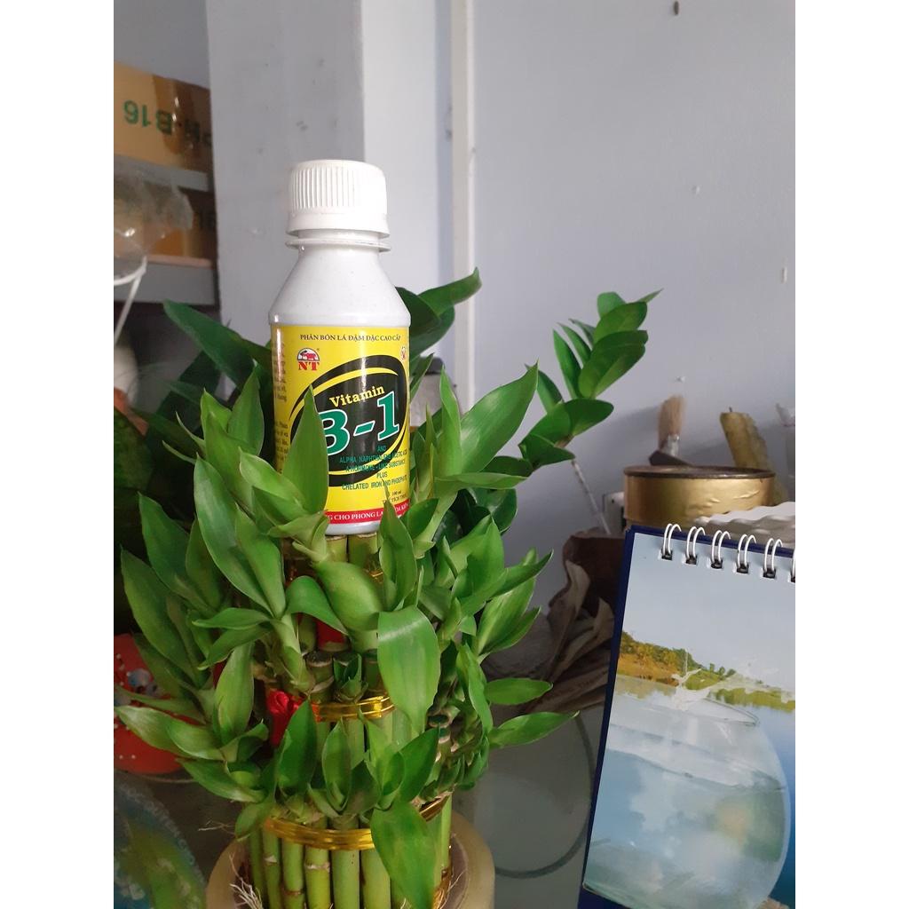 Chai 100ml ra rễ cực mạnh vitamin B1.