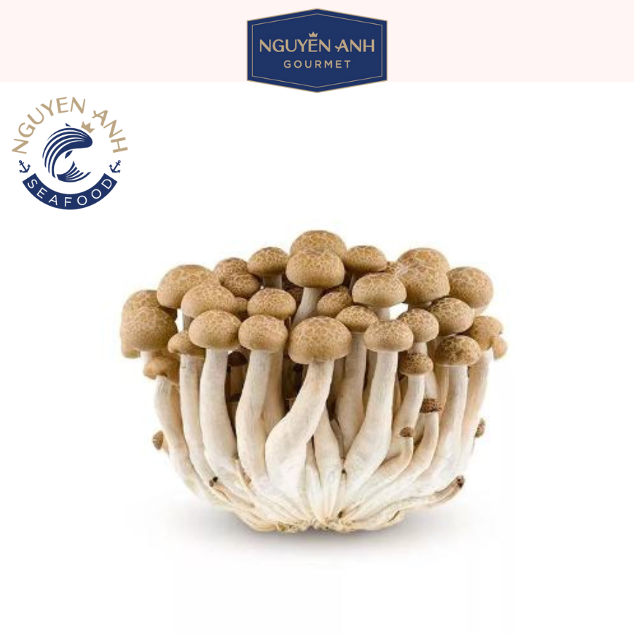 Nấm linh chi nâu tươi 125g nông trại Nấm Xanh