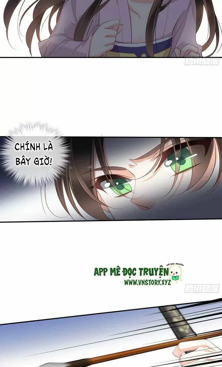 hoàng hậu ương bướng chapter 248 11