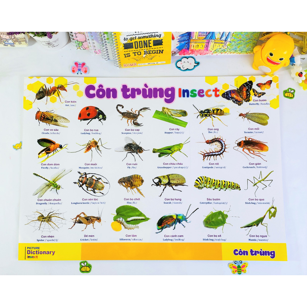 Sách - Combo 9 tờ Tranh Dành Cho Bé - ndbooks
